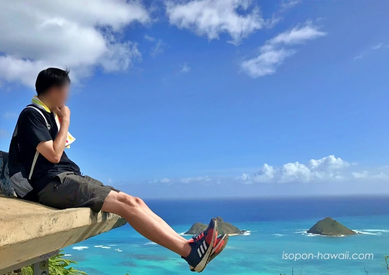 ラニカイピルボックスの上で海を眺めるいそぽん