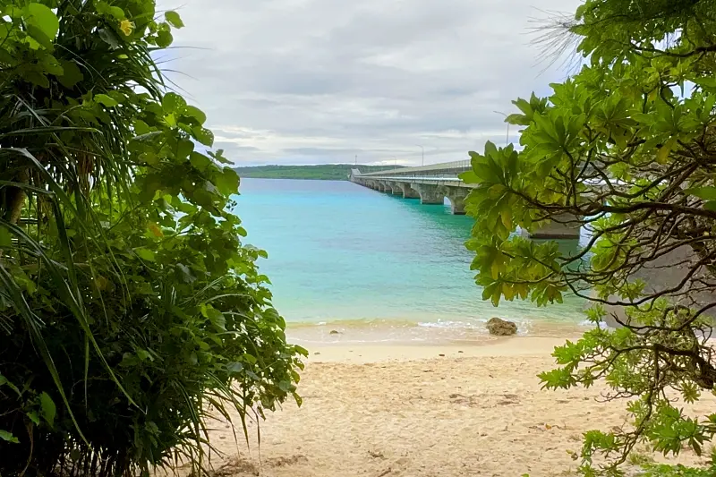 前浜農村公園 砂浜と海