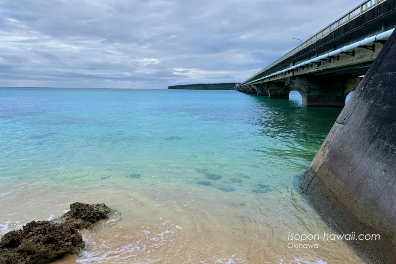 前浜農村公園 来間大橋の袂からの風景