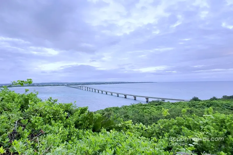 展望スペースから見た来間大橋