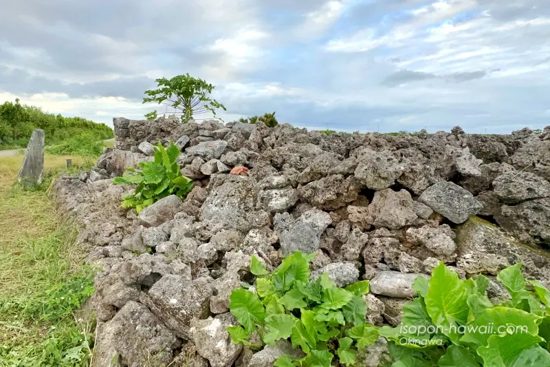 スムリャーミャーカの石囲と石積み