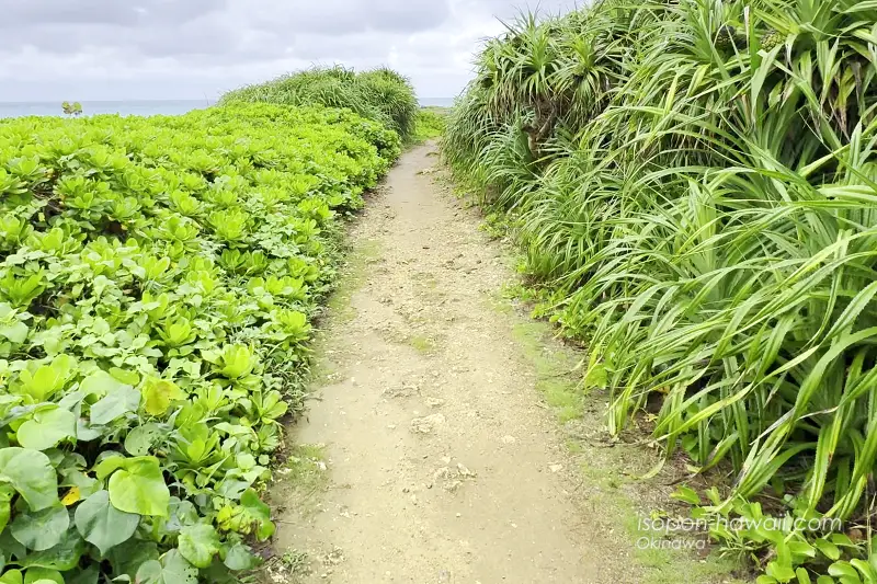 西平安名崎 岬先端に続く道