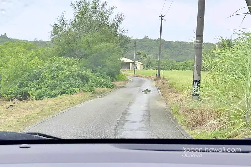 島尻のマングローブ林の駐車場に入る狭い道