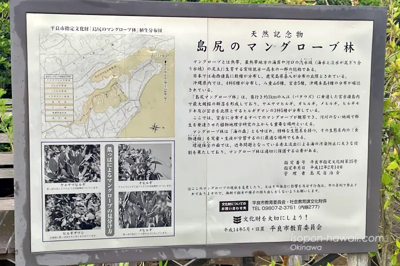 島尻のマングローブ林の案内板