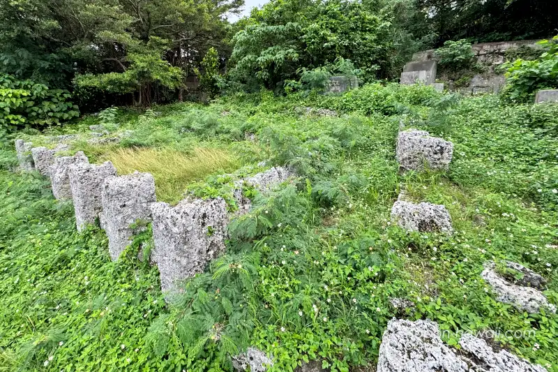 知利真良豊見親の墓の上 草が伸びている