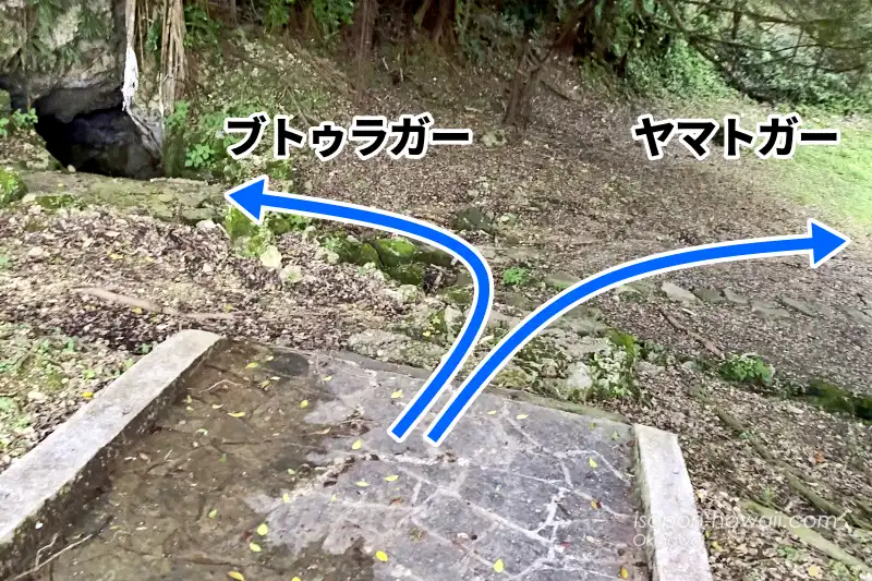 ヤマトガーとブトゥラガーの分岐点