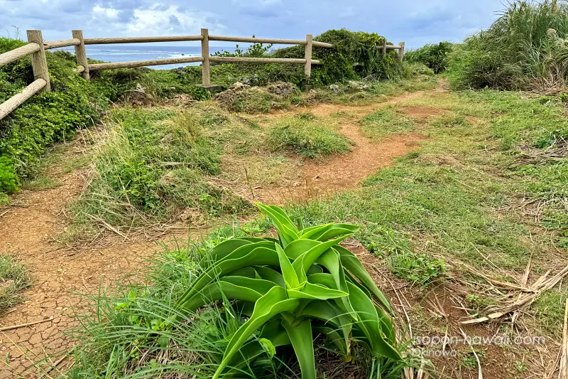 東平安名崎見晴台の道