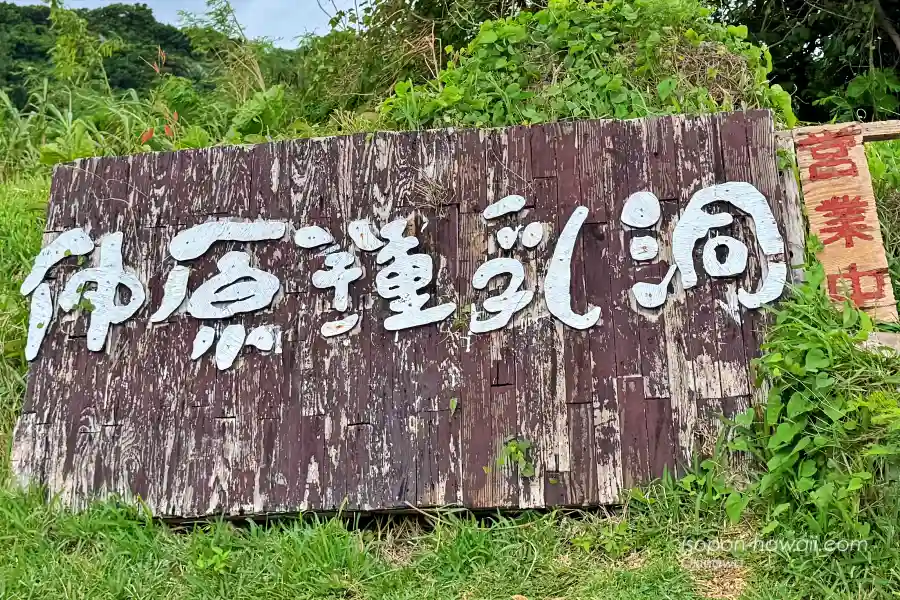仲原鍾乳洞