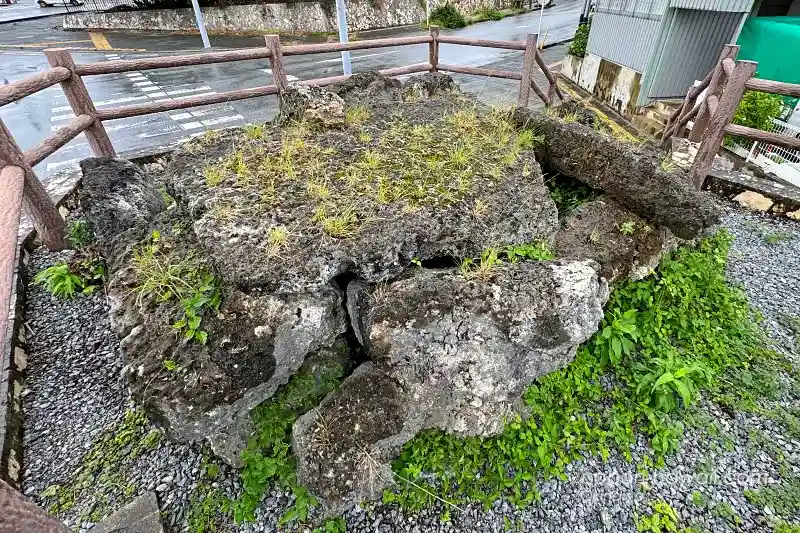 大立大殿みゃーか 上から