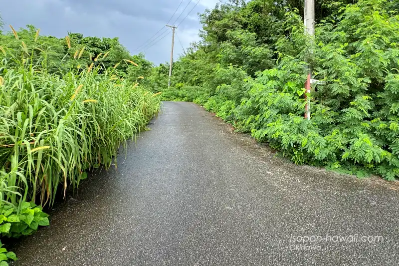 インギャー第2駐車場と友利のあま井の間の道