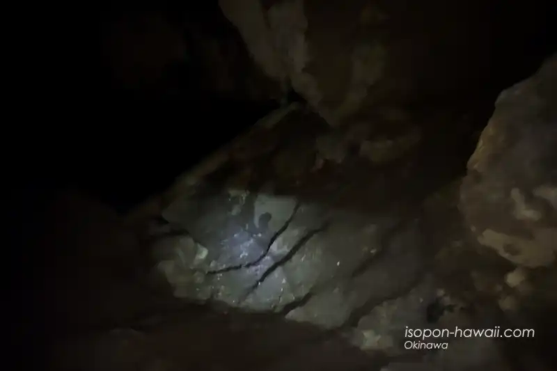 友利のあま井 最深部の石段 暗くて見えにくい