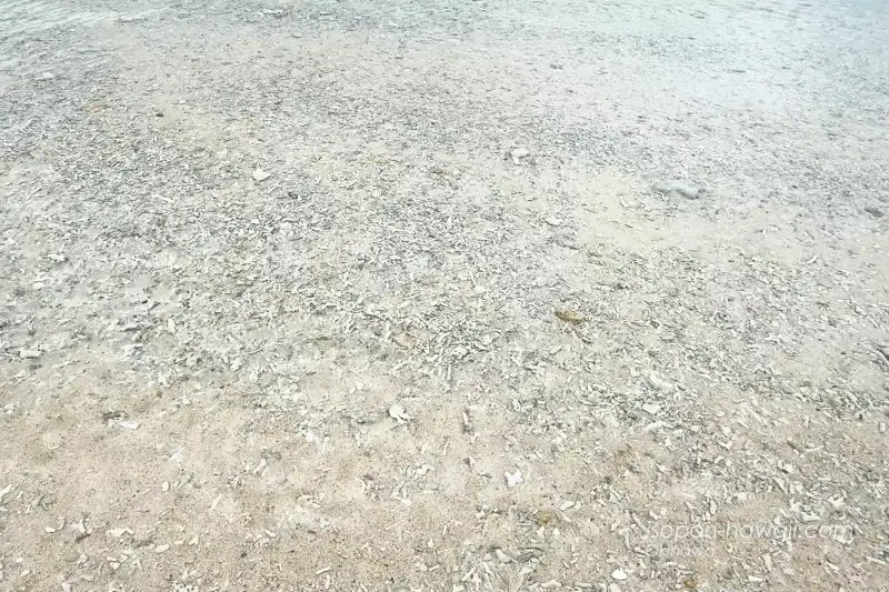 裏インギャービーチ 透明度の高い海水 まるで水がないように見える