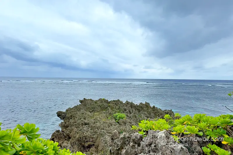 インギャーマリンガーデン展望台 海側ルートの景色