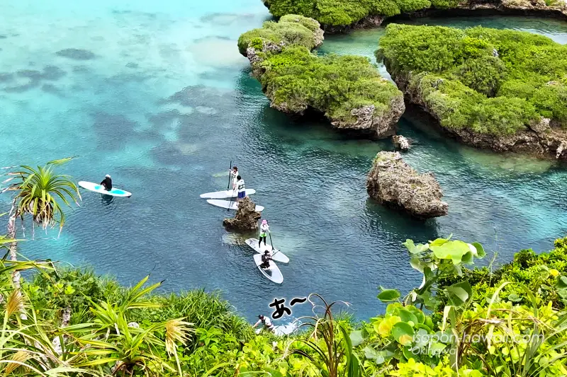 インギャーマリンガーデンのSUPツアー クリアサップ