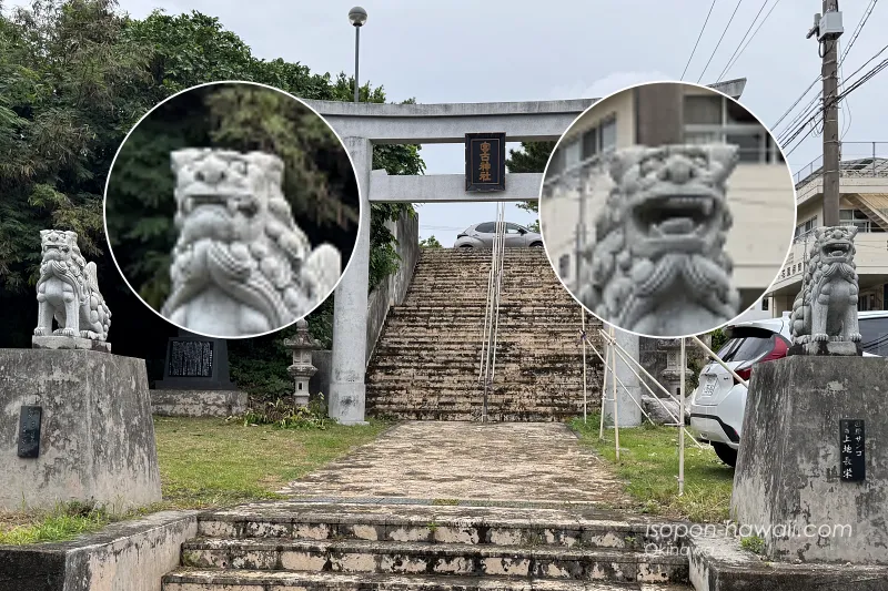 宮古神社の狛犬