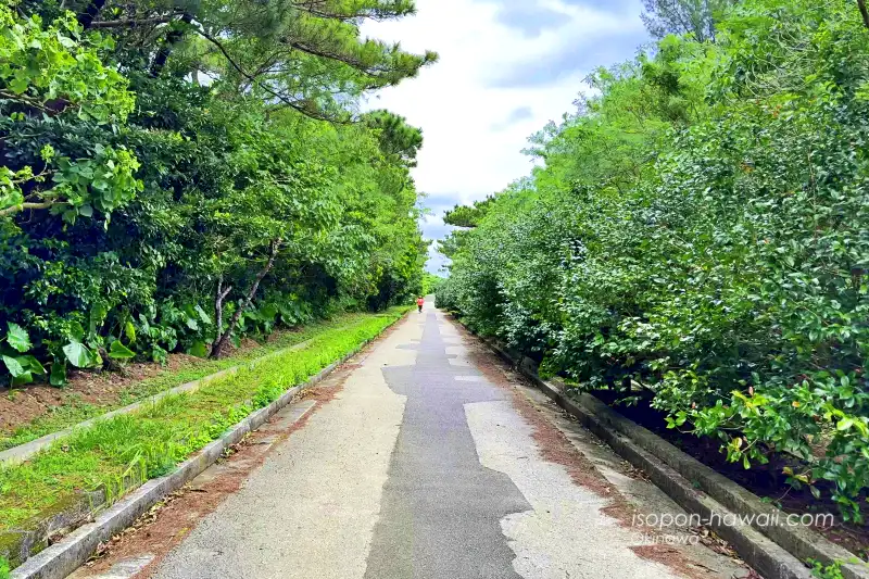 牧山公園 駐車場から展望台までの道